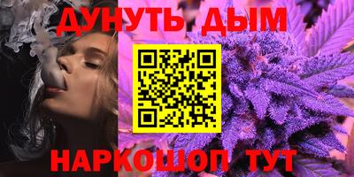 гидра Шахты