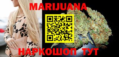 гидра Шахты