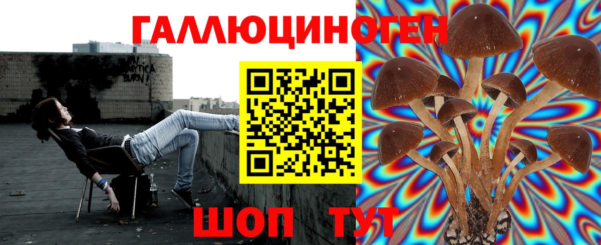 наркотики  Галлюциногенные грибы GOLDEN TEACHER  Вход с VPN  Галлюциногенные грибы Magic Shrooms  Ачинск 